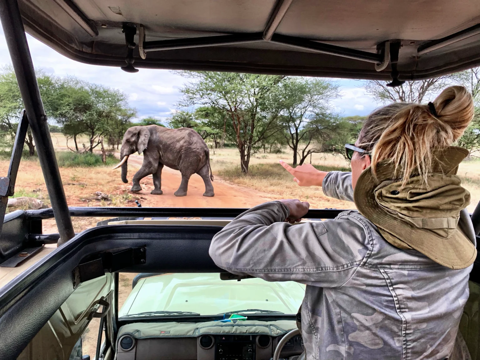 rear view woman looking elephant while peeking from car sunroof scaled